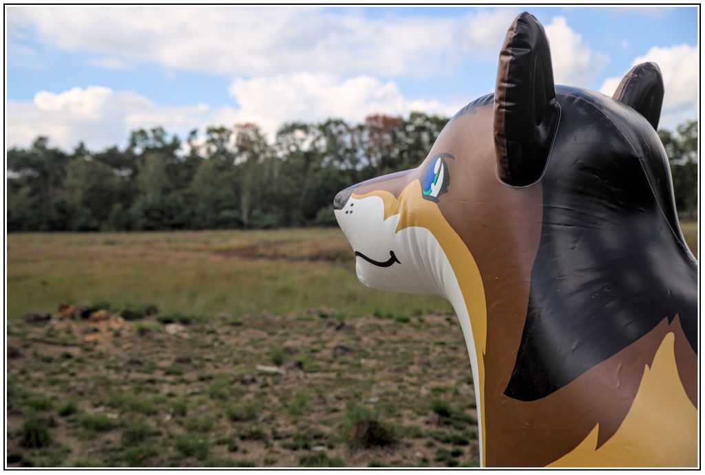 Majestic G&amp;G inflatable wolf in the forest